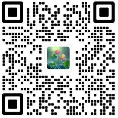 Journal of Thermal Science杂志模板